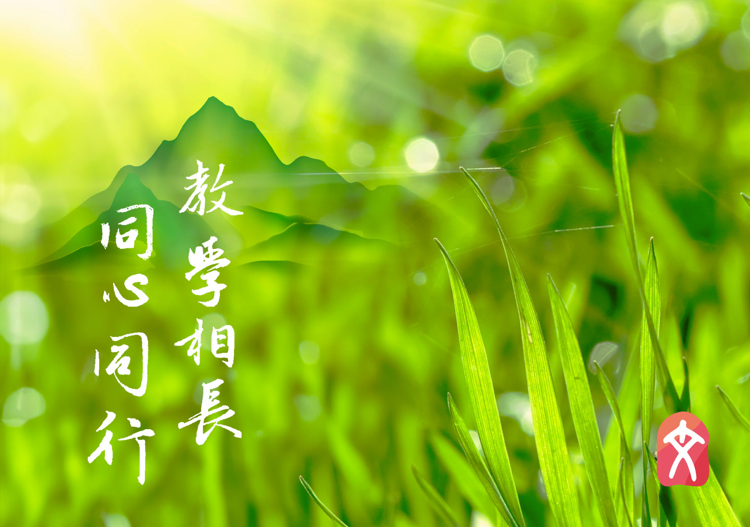教師網，教學相長，同心同行